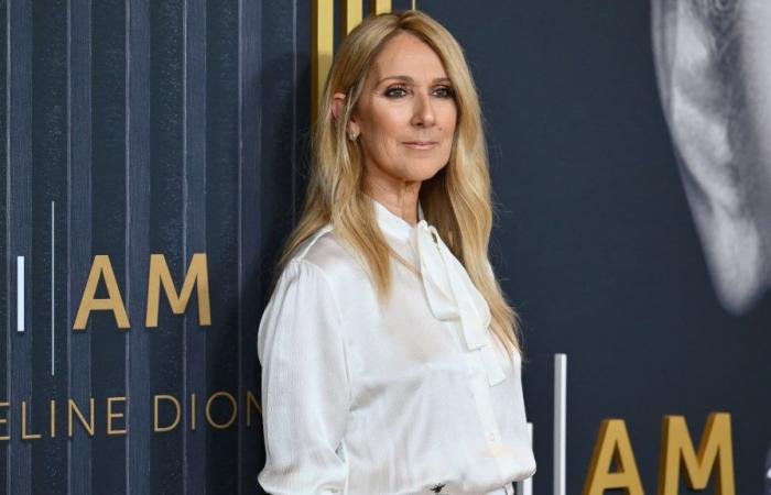 Céline Dion hat während eines American-Football-Spiels einen überraschenden Auftritt in einer Werbung