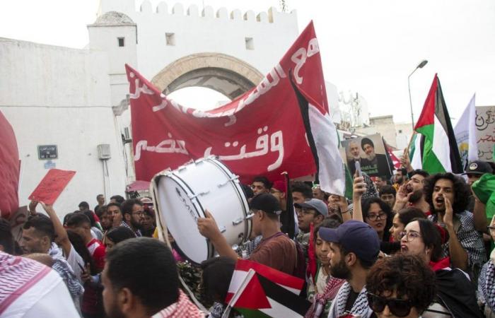 Tunis: Marsch zur Unterstützung Palästinas und des Libanon (Fotos)