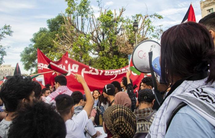 Tunis: Marsch zur Unterstützung Palästinas und des Libanon (Fotos)