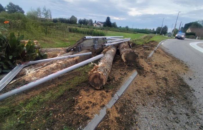 Spektakulärer Lkw-Unfall: Baumstämme landen im Garten eines Hauses