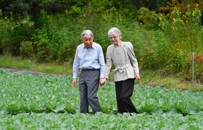 Die emeritierte Kaiserin Michiko bricht sich wenige Tage vor ihrem 90. Geburtstag das Bein und muss operiert werden