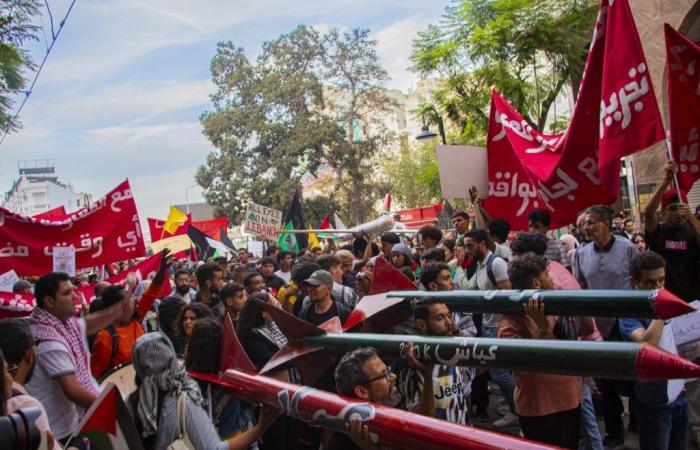 Tunis: Marsch zur Unterstützung Palästinas und des Libanon (Fotos)