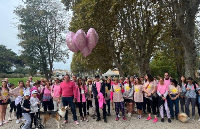 Rosa Oktober: Sie marschierten im Golf von Saint-Tropez gegen Brustkrebs