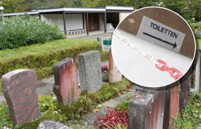 Zu viele Menschen lieben sich auf dem wuchernden Teufenthaler Friedhof