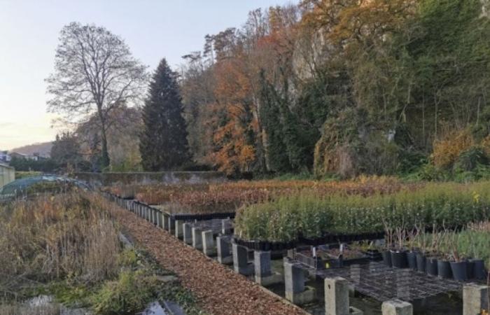 Ein milder und trockener Herbstmontag zum Wochenstart