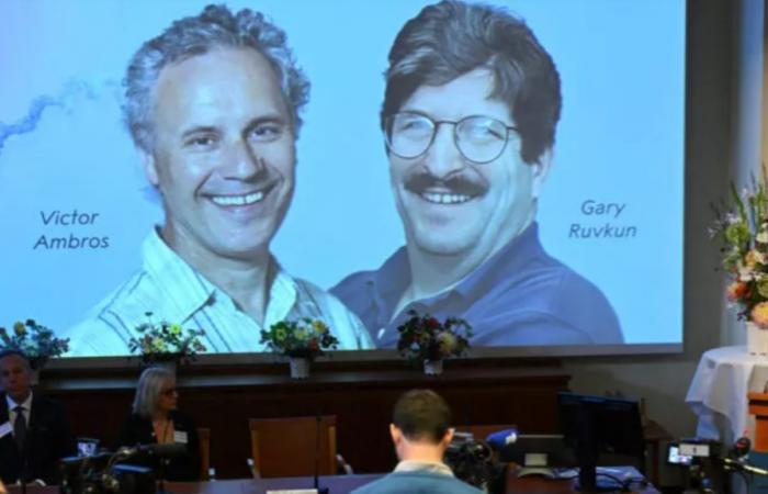 Victor Ambros und Gary Ruvkun gewinnen den Nobelpreis für Medizin 2024