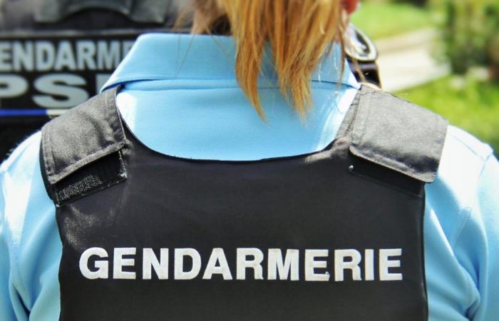 Die Gendarmen hatten nicht damit gerechnet, dies bei einer Durchsuchung im Gard zu finden