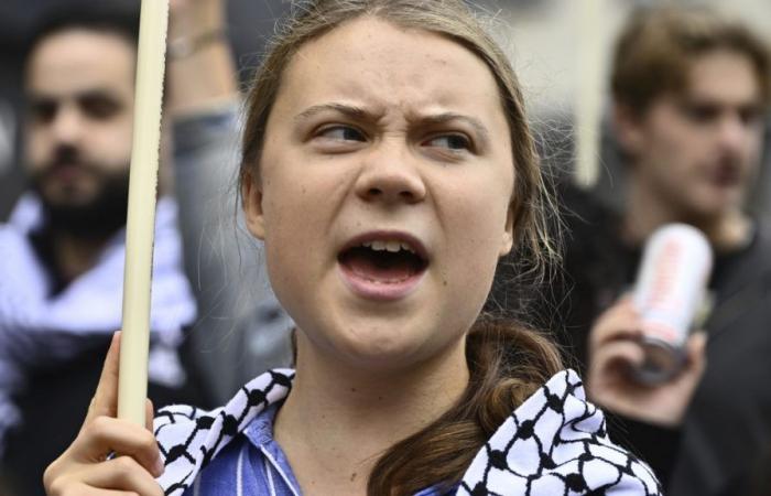 Greta Thunberg an Klimademonstration in Brüssel festgenommen