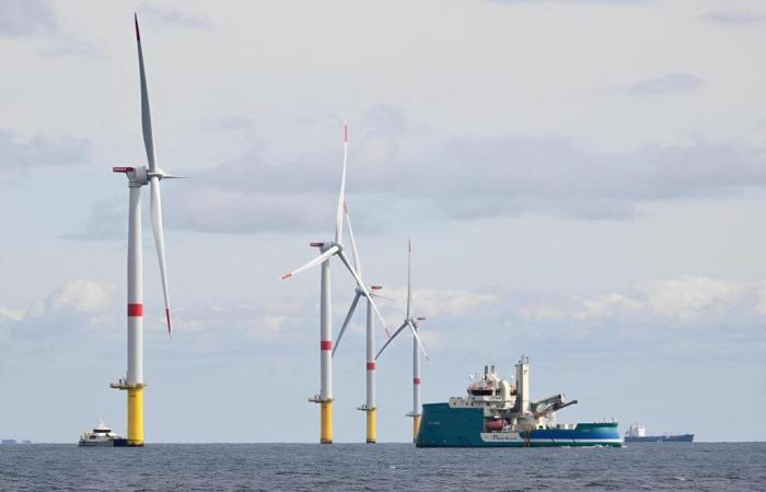 Könnten vor der Küste des Ärmelkanals neue Windparks gebaut werden?