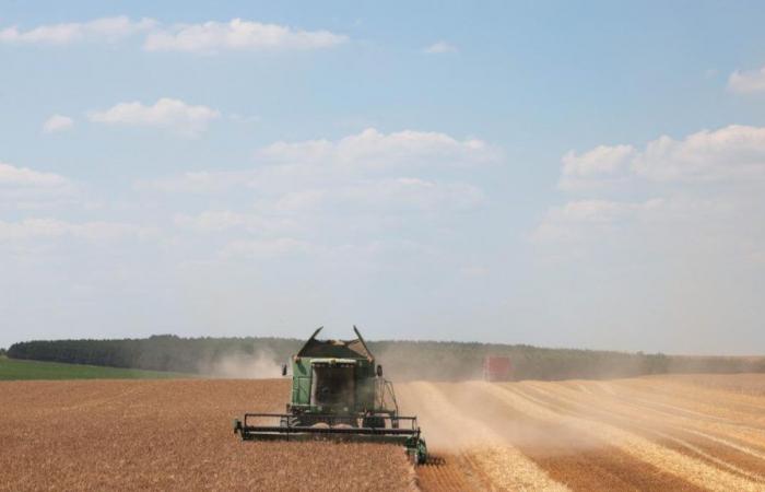 Wo in Frankreich sind die Preise für landwirtschaftliche Flächen am höchsten?