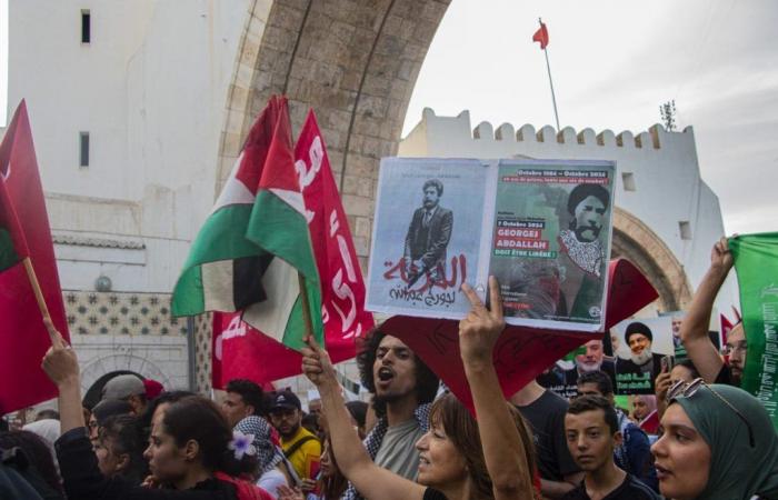 Tunis: Marsch zur Unterstützung Palästinas und des Libanon (Fotos)