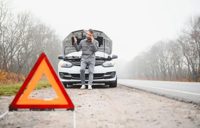 Besorgte Autofahrer: Massenrückruf von Modellen in Frankreich wegen defektem Motor und defekter Aufhängung