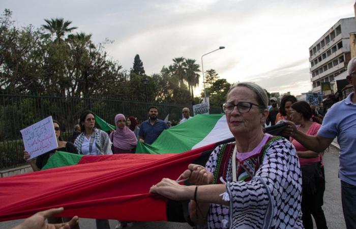 Tunis: Marsch zur Unterstützung Palästinas und des Libanon (Fotos)