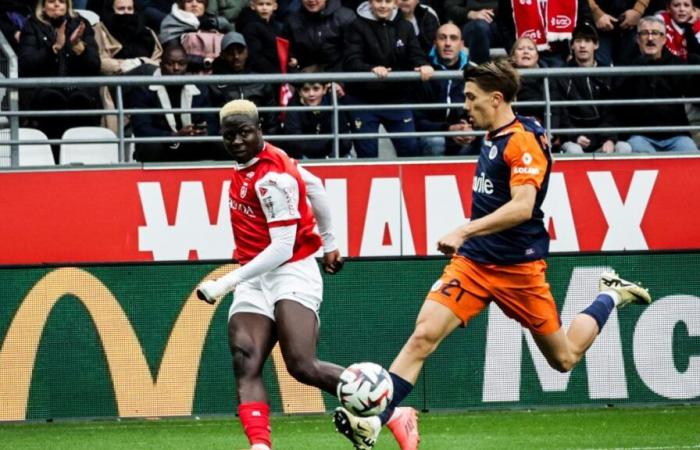 Reaktionen Stade de Reims-Montpellier