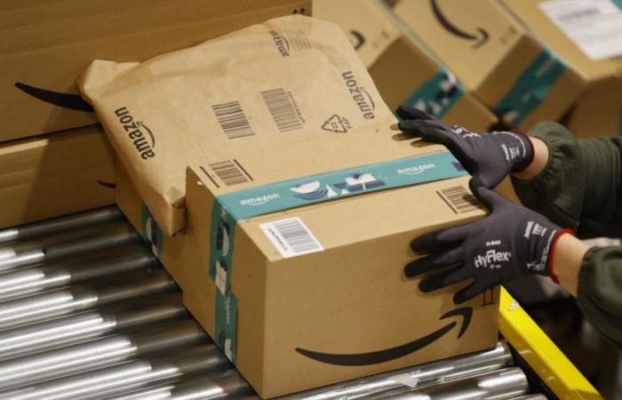 Mindestversandkosten für Bücher: Ein Jahr nach der Maßnahme haben Amazon und Buchhändler weiterhin zu kämpfen – 10.07.2024 um 11:48 Uhr