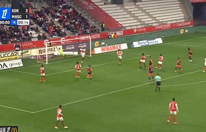 VIDEO. Die Ziele von Reims – MHSC: zwei Raketen von Nordin, Montpelliers Markierungsfehler … Erleben Sie das Treffen noch einmal in Bildern