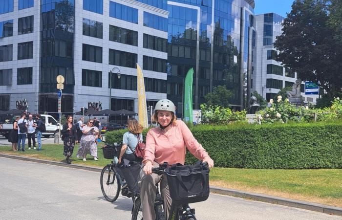 „Auf dem Foto ist deutlich zu erkennen, wie das Schild kopfüber hängt“