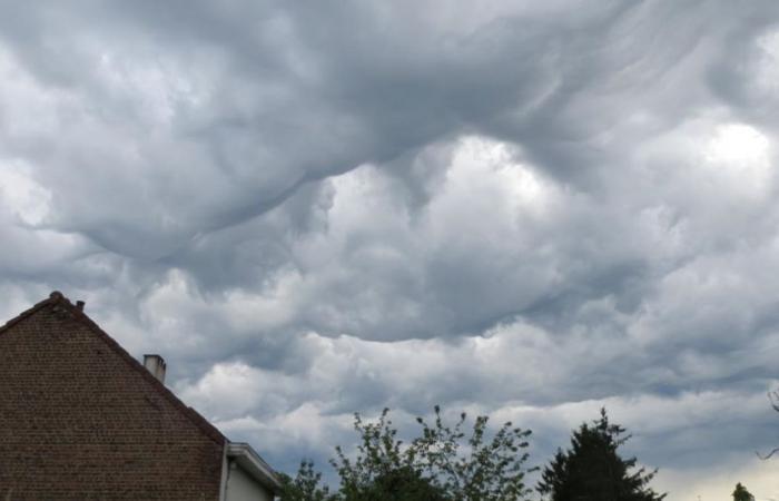 Das schlechte Wetter im Sommer in Belgien wird dennoch positive Folgen gehabt haben…