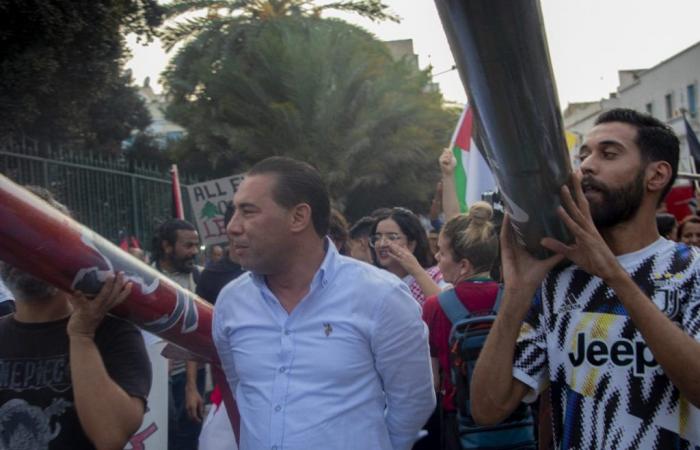 Tunis: Marsch zur Unterstützung Palästinas und des Libanon (Fotos)