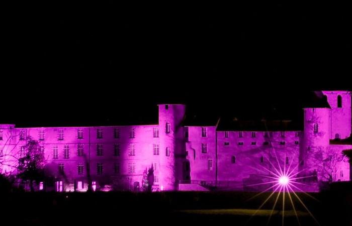 Das Schloss von Foix und der Bischofspalast sind in den Farben der Landschaft geschmückt