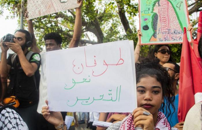 Tunis: Marsch zur Unterstützung Palästinas und des Libanon (Fotos)