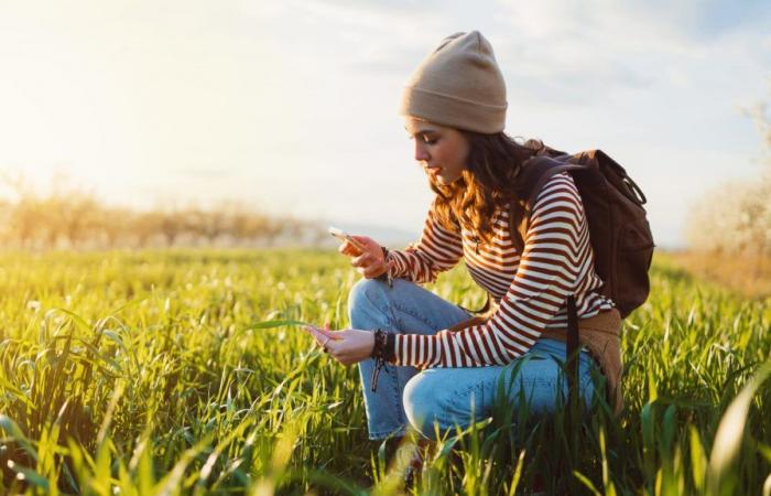 Gönnen Sie sich bei SFR ein generalüberholtes iPhone zum günstigen Preis