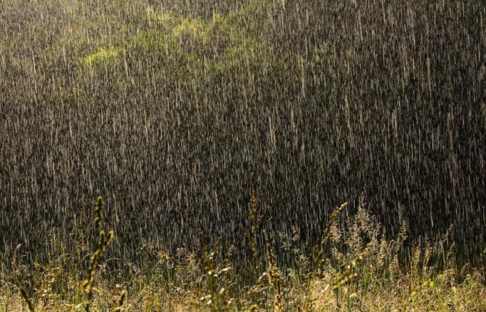 Eine Cevennen-Folge wird am Montagabend in Lozère, Ardèche und Gard erwartet