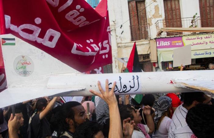 Tunis: Marsch zur Unterstützung Palästinas und des Libanon (Fotos)