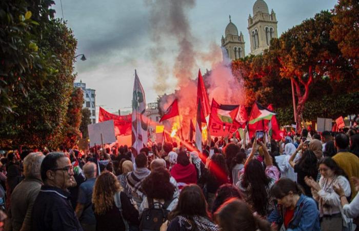 Tunis: Marsch zur Unterstützung Palästinas und des Libanon (Fotos)