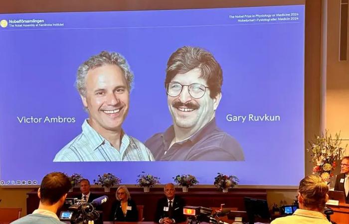 Zwei amerikanische Wissenschaftler erhalten den Nobelpreis für Medizin