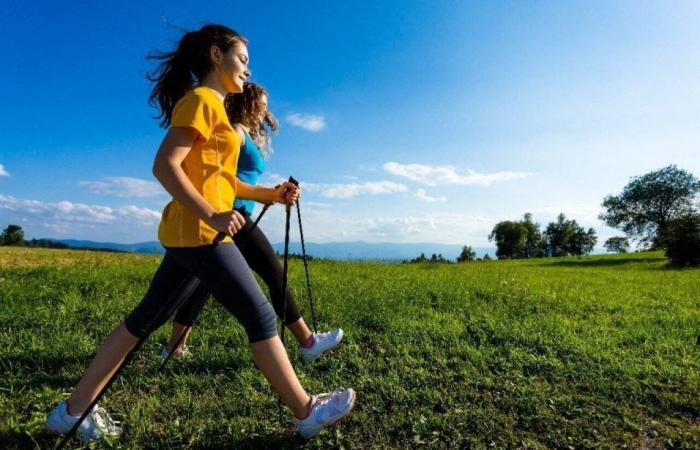 Nehmen Sie an diesem 2 km langen Nordic Walk mit Senioren in der Nähe von Orléans teil