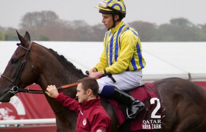 Pferd stirbt beim Qatar Prix de l’Arc de Triomphe