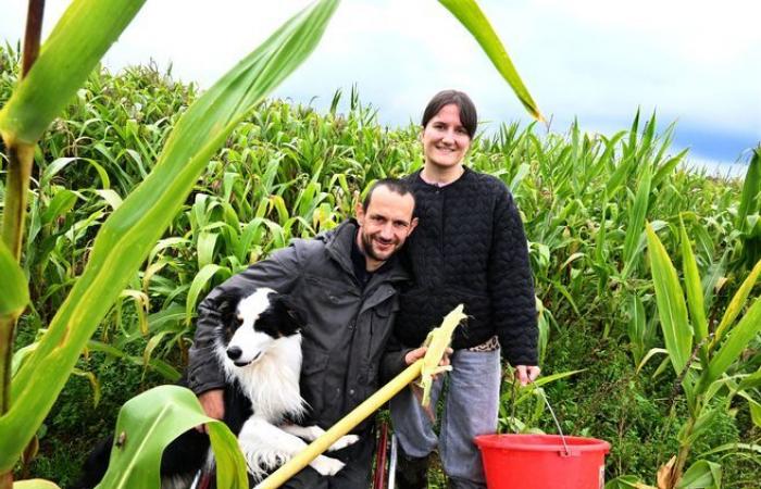 Die ehemaligen Kandidaten von „L’amour est dans le pré“, Florian und Lola, kreieren in Creuse eine Popcornmarke