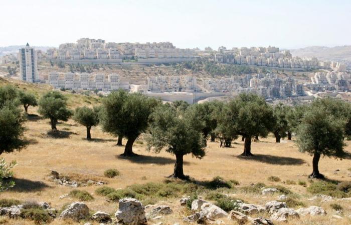 Israel-Palästina: Ein Jahr nach dem 7. Oktober ist der Frieden dringender denn je