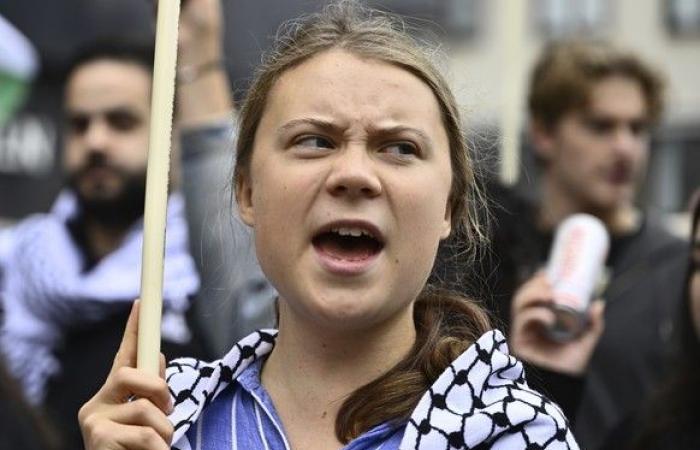 Greta Thunberg an Klimademonstration in Brüssel festgenommen