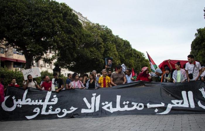 Tunis: Marsch zur Unterstützung Palästinas und des Libanon (Fotos)