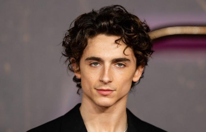 Entdecken Sie Timothée Chalamets neues Zuhause in Beverly Hills – Actual Immo