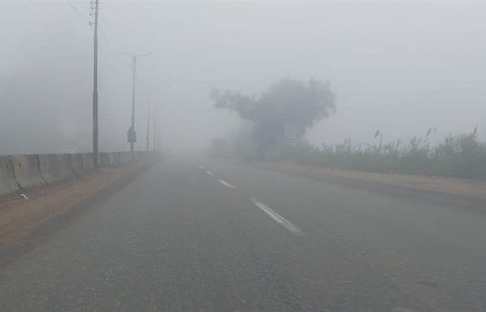 Morgen ist dichter Nebel auf diesen Straßen