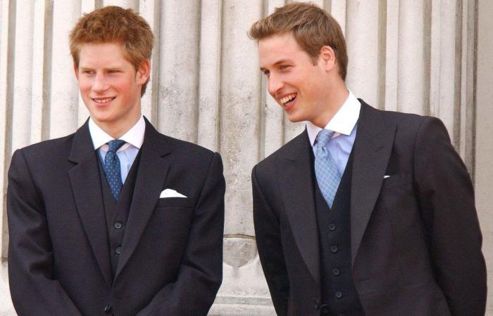 „Sie sind einer Kugel ausgewichen“: Den Prinzen William und Harry wurde das Feiern bei P. Diddy verboten, die Enthüllungen