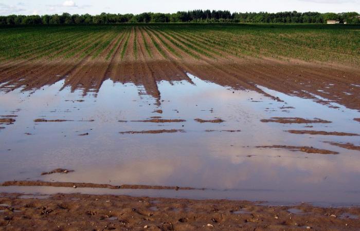 Essonne wurde am 9. Oktober in den orangefarbenen Regen-Überschwemmungs-Alarm versetzt