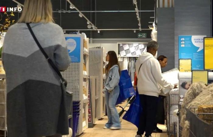 „Eine ziemlich clevere Strategie“: Jysk, der dänische Rivale von Ikea, lockt mit seinen niedrigen Preisen immer mehr Franzosen an