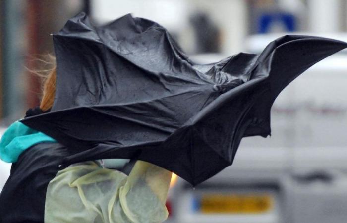 Regenüberschwemmung und heftiger Wind: Deux-Sèvres am Mittwoch in Alarmstufe Orange, Vienne in Alarmstufe Gelb