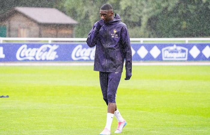 Kolo Muani diesen Winter von PSG verkauft?