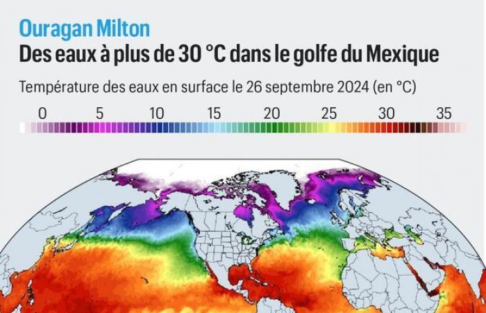 Maximale Kategorie, warmes Wasser … Warum könnte Hurrikan Milton „der schlimmste Sturm in Florida seit einem Jahrhundert“ sein?