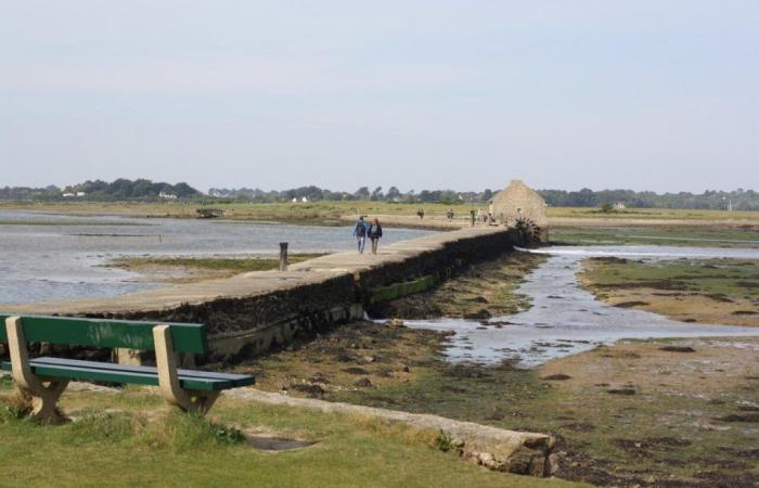 Eine Woche voller Berichte über die geheimen Inseln von Morbihan in den Nachrichten von France 2