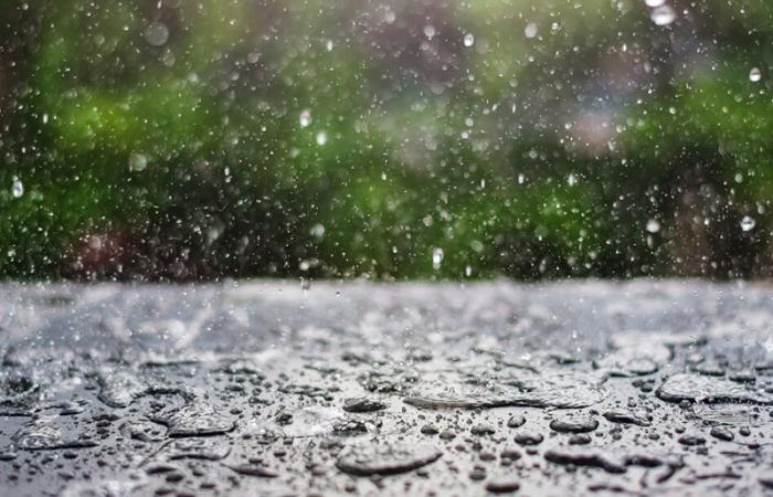 Wetterbericht. Für die nächsten zehn Tage steht Regen auf dem Speiseplan