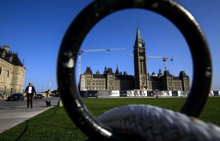 Die Go Green-Koalition fordert die Parteien in Ottawa auf, „gesunden Umweltverstand“ zu demonstrieren