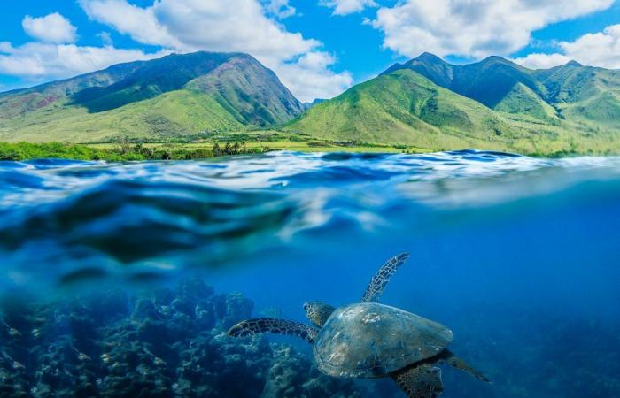 Maui-Wettervorhersage für den 08. Oktober 2024: Maui jetzt