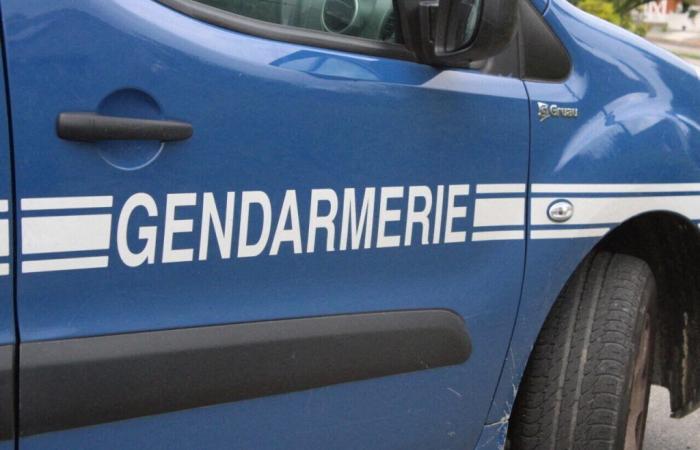 Drei Männer nach Verfolgungsjagd festgenommen