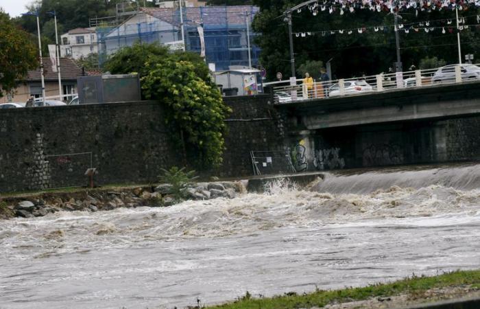 Cevennen: Die Alès-Kakerlake wird wütend und beruhigt sich dann